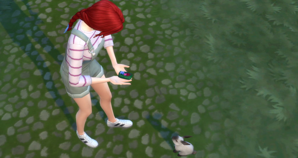 Les Sims 4 : Tout ce que vous devez savoir sur les lapins sauvages