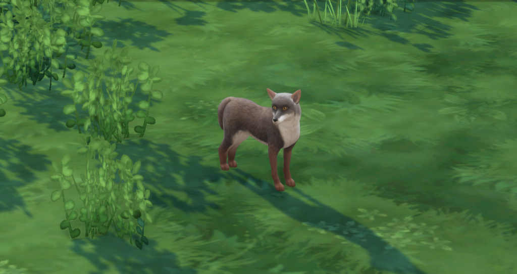 Les Sims 4 : Animaux sauvages (Cottage Living)