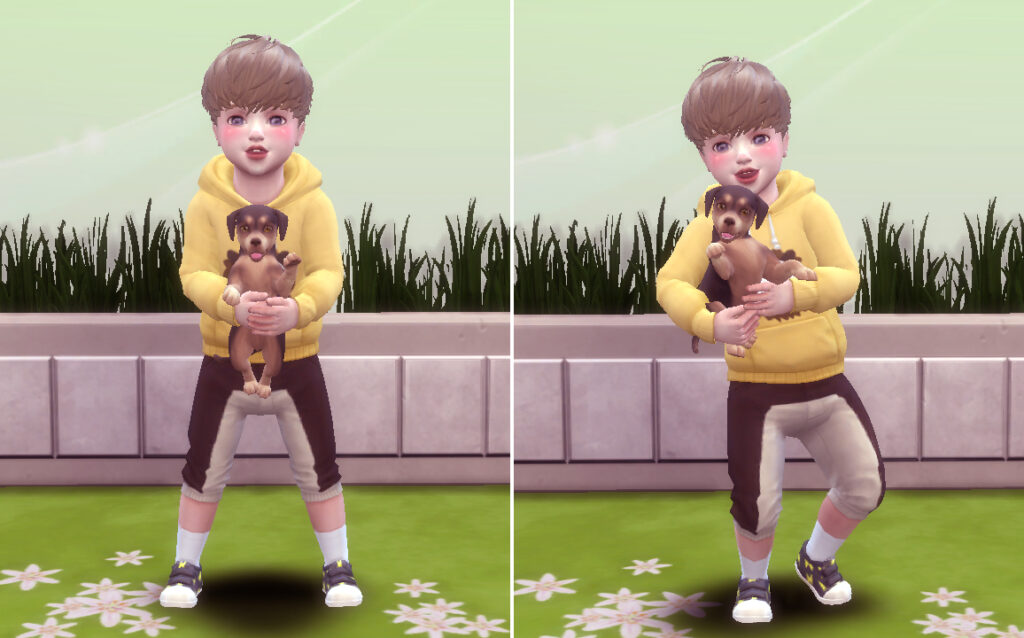 poses avec chiot