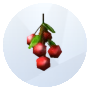 Image de Cerise de Les Sims 4 pour le jardinage
