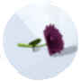 Image of a Dahlia from The Sims 4 Seasons for Gardening 