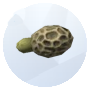 Image d'une fausse morille champignon de The Sims 4 Outdoor Retreat pour le jardinage