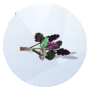 Image of a Fireleaf from The Sims 4 Outdoor Retreat for Gardening 
