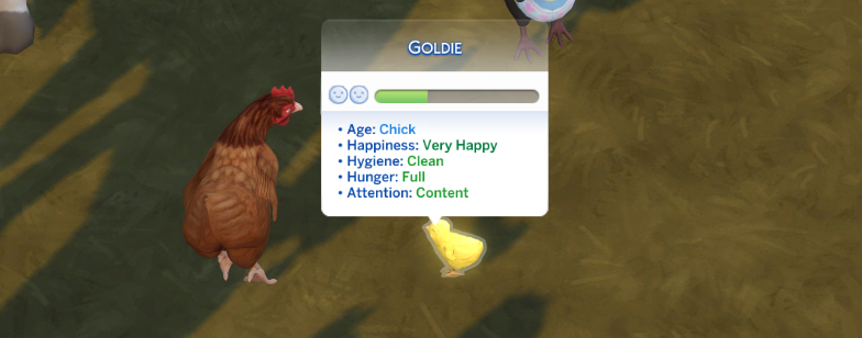 Les Sims 4 : Tout ce que vous devez savoir sur les poules
