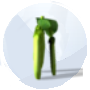 Image de pois verts provenant des Sims 4 Saisons pour le jardinage