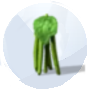 Image d'un haricot vert provenant de Les Sims 4 Saisons pour le jardinage 