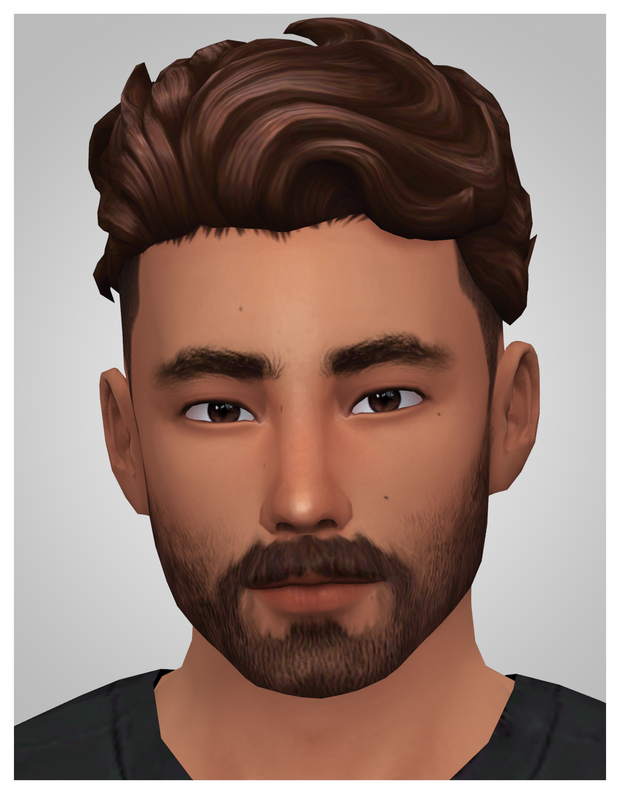 Un sim avec des cheveux bruns, des yeux bruns et une barbe brune.