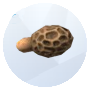 Image d'un champignon Morel de The Sims 4 Outdoor Retreat pour le jardinage