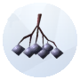 Image d'un Noxious Elderberry de The Sims 4 Outdoor Retreat pour le jardinage