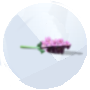 Image d'un Nuzzlenip de The Sims 4 Cats & Dogs pour le jardinage