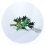 Image de persil provenant des Sims 4 pour le jardinage 