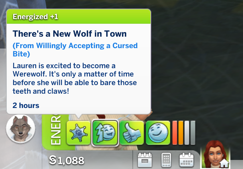 un sim excité dans Les Sims 4 parce qu'il va devenir un loup-garou