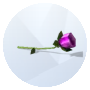 Image de la tulipe provenant de The Sims 4 pour le jardinage 