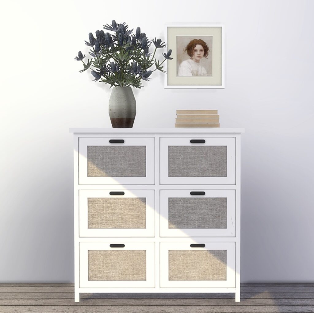 Une vue de face d'un mur où se trouve une petite commode ou un meuble à chaussures au milieu. Sur le dessus de ce meuble se trouvent une plante décorative, une pile de livres et un cadre photo avec une photo d'une femme à l'intérieur. 